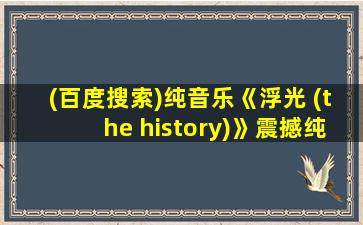 (百度搜索)纯音乐《浮光 (the history)》震撼纯音乐!