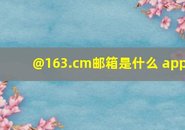 @163.cm邮箱是什么 app