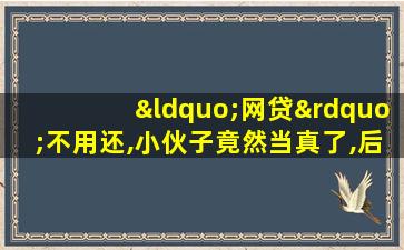 “网贷”不用还,小伙子竟然当真了,后果令人出乎意料!