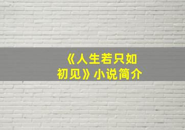 《人生若只如初见》小说简介