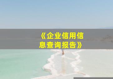 《企业信用信息查询报告》