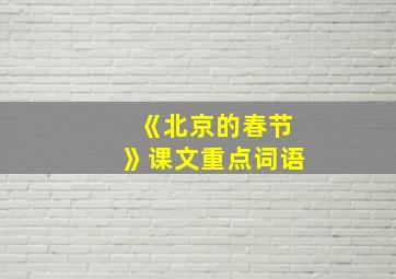 《北京的春节》课文重点词语