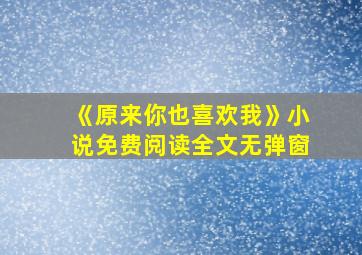 《原来你也喜欢我》小说免费阅读全文无弹窗