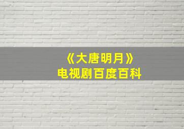 《大唐明月》电视剧百度百科