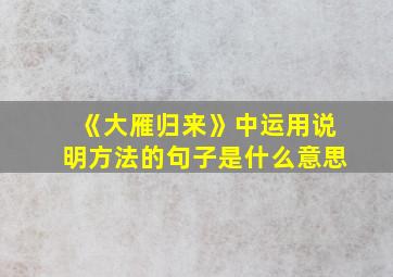 《大雁归来》中运用说明方法的句子是什么意思