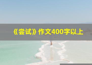 《尝试》作文400字以上