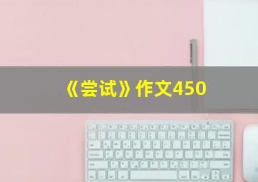 《尝试》作文450