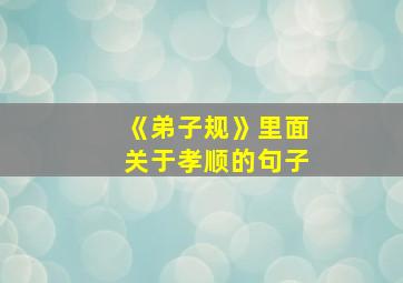 《弟子规》里面关于孝顺的句子