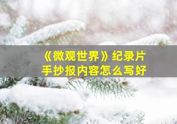 《微观世界》纪录片手抄报内容怎么写好