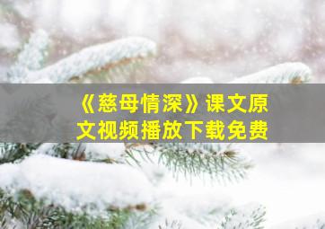 《慈母情深》课文原文视频播放下载免费