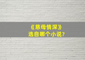 《慈母情深》选自哪个小说?