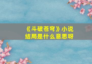 《斗破苍穹》小说结局是什么意思呀