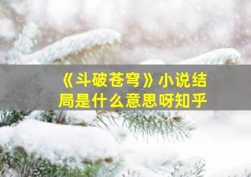 《斗破苍穹》小说结局是什么意思呀知乎