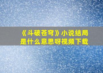 《斗破苍穹》小说结局是什么意思呀视频下载