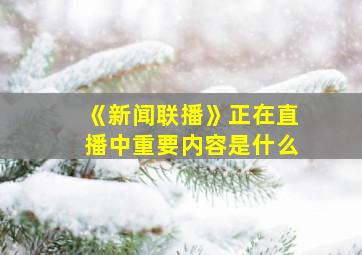 《新闻联播》正在直播中重要内容是什么