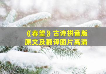 《春望》古诗拼音版原文及翻译图片高清