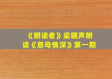 《朗读者》梁晓声朗读《慈母情深》第一期