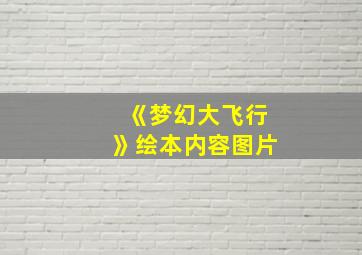 《梦幻大飞行》绘本内容图片