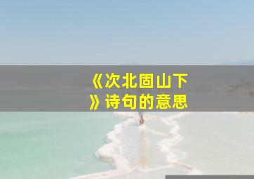 《次北固山下》诗句的意思