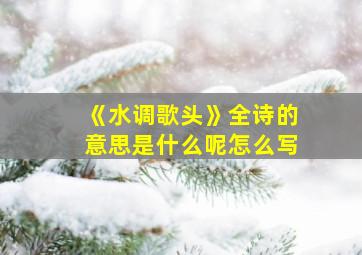 《水调歌头》全诗的意思是什么呢怎么写