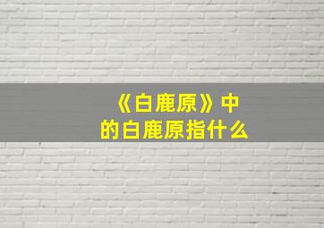 《白鹿原》中的白鹿原指什么