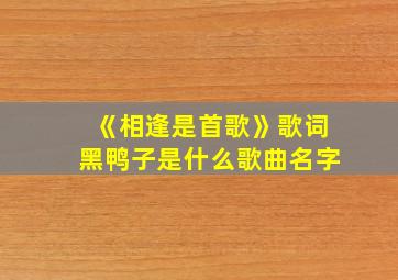 《相逢是首歌》歌词黑鸭子是什么歌曲名字