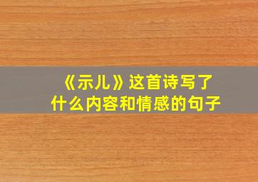 《示儿》这首诗写了什么内容和情感的句子