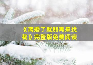 《离婚了就别再来找我》完整版免费阅读