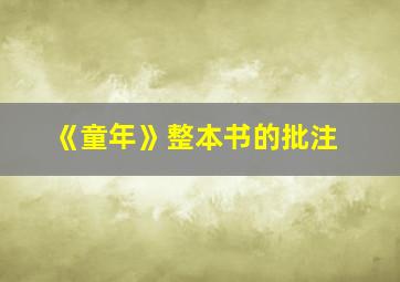 《童年》整本书的批注