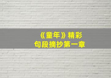 《童年》精彩句段摘抄第一章