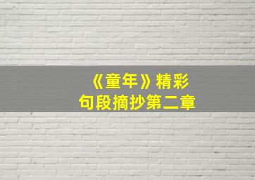 《童年》精彩句段摘抄第二章