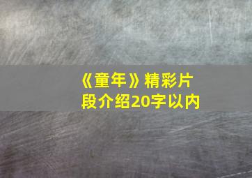 《童年》精彩片段介绍20字以内