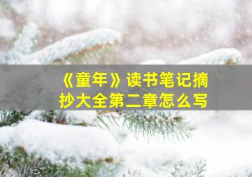 《童年》读书笔记摘抄大全第二章怎么写