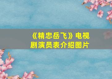 《精忠岳飞》电视剧演员表介绍图片