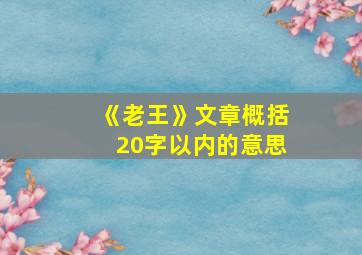 《老王》文章概括20字以内的意思