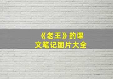 《老王》的课文笔记图片大全