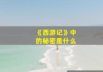 《西游记》中的秘密是什么