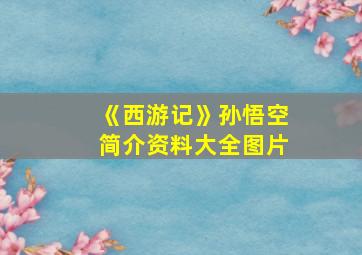 《西游记》孙悟空简介资料大全图片