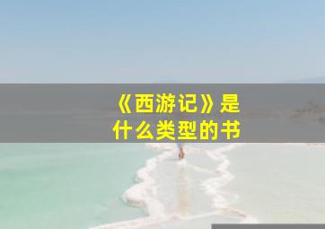 《西游记》是什么类型的书