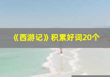 《西游记》积累好词20个