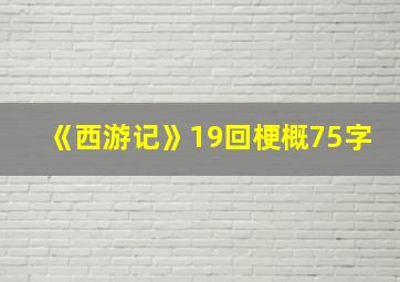 《西游记》19回梗概75字