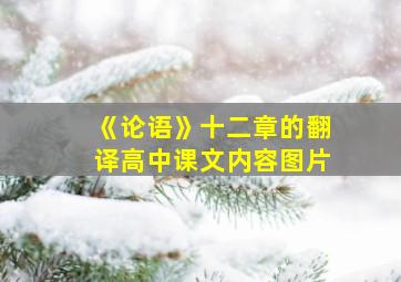 《论语》十二章的翻译高中课文内容图片