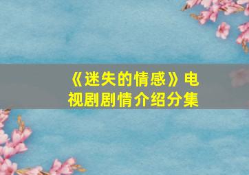 《迷失的情感》电视剧剧情介绍分集