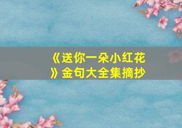 《送你一朵小红花》金句大全集摘抄