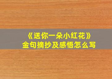 《送你一朵小红花》金句摘抄及感悟怎么写