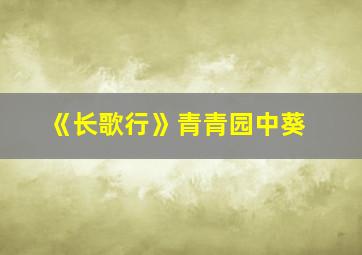 《长歌行》青青园中葵