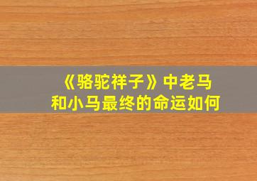 《骆驼祥子》中老马和小马最终的命运如何