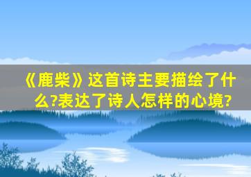 《鹿柴》这首诗主要描绘了什么?表达了诗人怎样的心境?