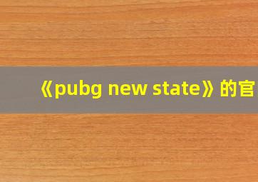 《pubg new state》的官网