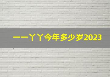 一一丫丫今年多少岁2023